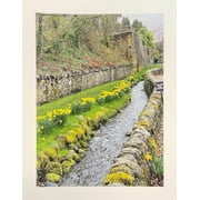 Spring Streamside Print Canvas Art Prints