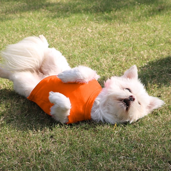 Spring Summer Dog T-Shirt Blank Sleeveless Puppy Tank Top Breathable Solid Color Cat Outfit Lightweight Pet Apparel for Small Medium Kitten Tee Clothes for Daily Wear Lounging Photoshoot