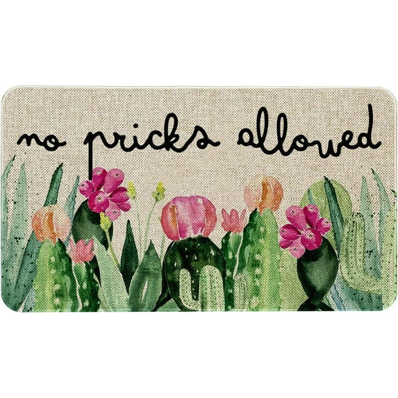 Spring Summer Door Mat 30 X 17 Inch No Picks Allowed Cactus Doormat Indoor Outdoor Entrance Funny Floor Mat Non Slip Summer Decor Rubber Welcome Mats