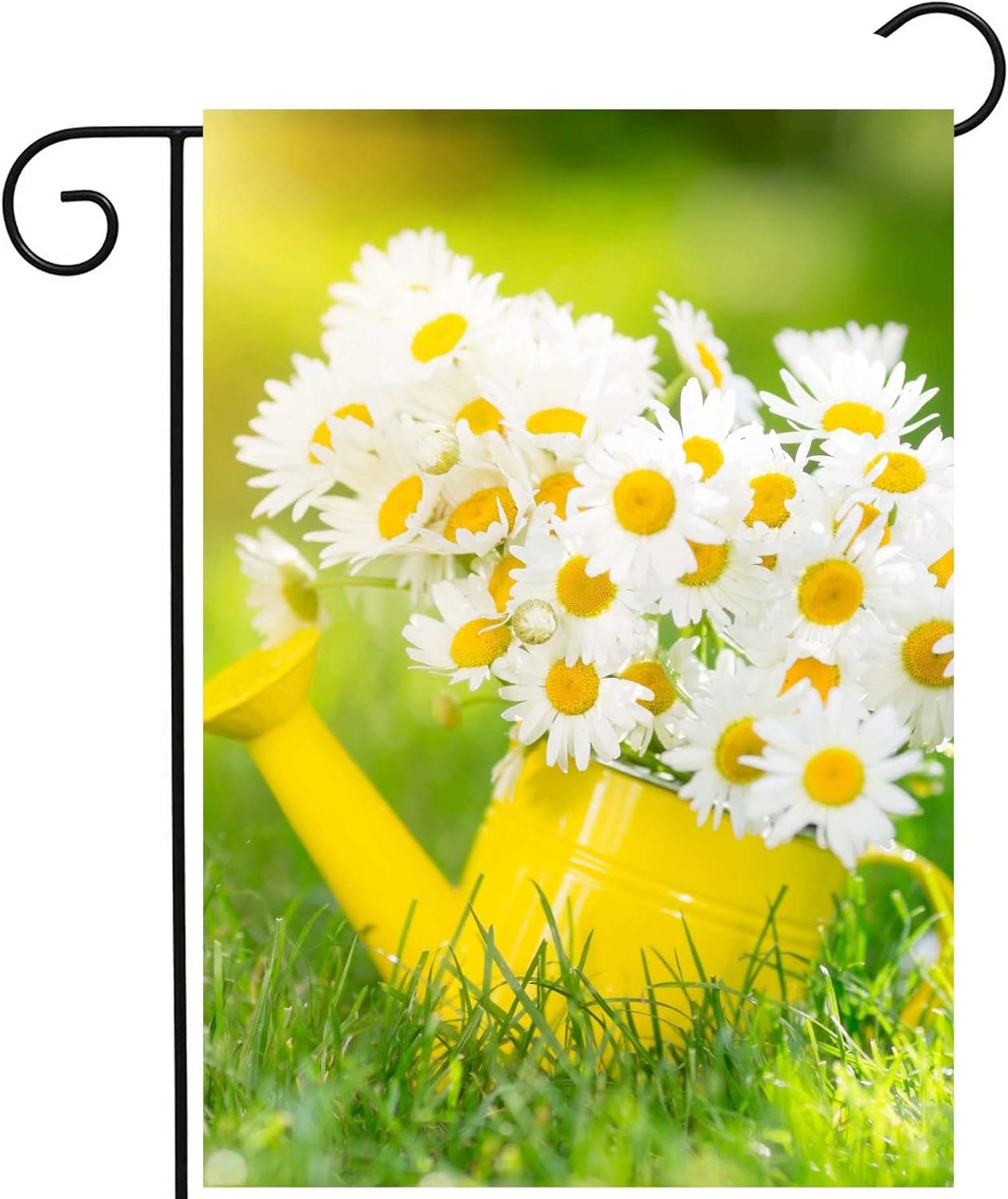 Spring Summer Floral Daisies Flower Green Grass Farm Sunrise Garden ...