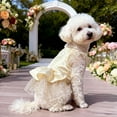 thumbnail image 1 of Spring Summer Pet Wedding Dress Party Outfit for Small Medium Dogs, Beige Apparel for Ceremonies, Celebrations, and Special Occasions, 1 Pc, by Ihhxbz, 1 of 8