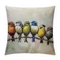 thumbnail image 1 of Spring Summer Throw Pillow Covers Set of ,Hand-Painted Oil Painting Rustic Birds Square Pillow Cases,Cute Colorful Spring Decorations for Home Couch Sofa Outdoor, 1 of 5