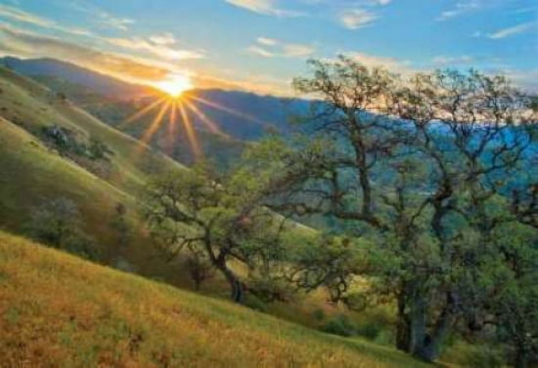 Spring Sunburst I Canvas Art - Mark Geistweite (20 x 28)
