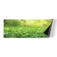 thumbnail image 1 of Spring Sunshine Grass Rubber Rectangular Kitchen Mat, 1 of 7