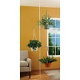 Spring Tension Rod INDOOR PLANT POLE with 3 Adjustable ARMS