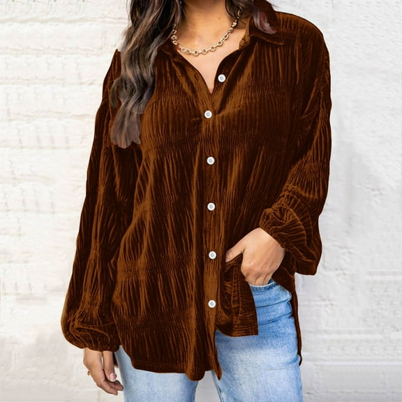 Spring Tops for Women Velvet Tops for Women Women's Ladies V-Neck Loose Tops Casual T-Shirts Long Sleeve Blouse/Brown XXL