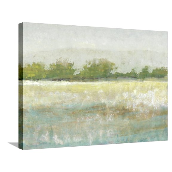 Art.com Spring Treeline II Stretched Canvas Print Wall Art by Tim OToole, 32" x 24"