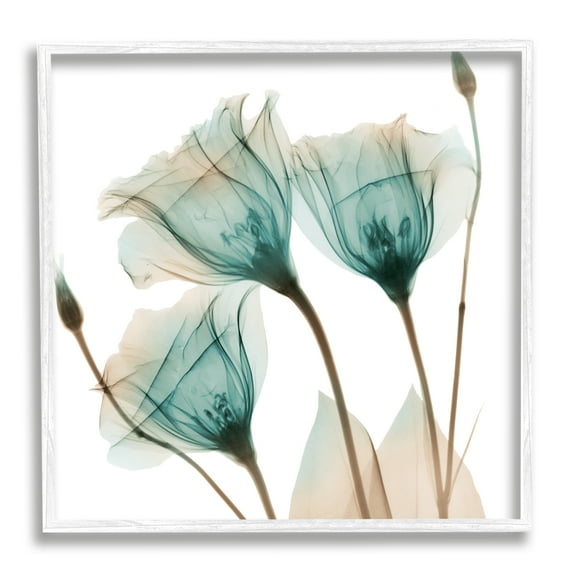 Spring Tulip Florals Translucent Plant Photography Botanical & Floral Framed Art Print Wall Art, 17x17
