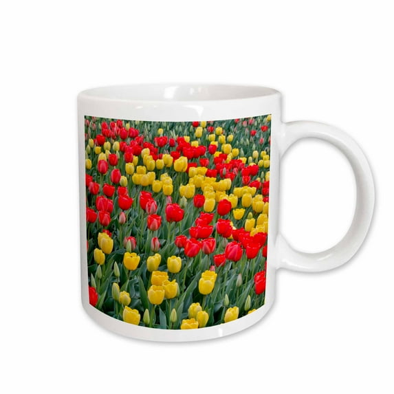 3drose, Spring Tulip Garden in Full Bloom, Skagit Valley. Washington State., 11oz Mug