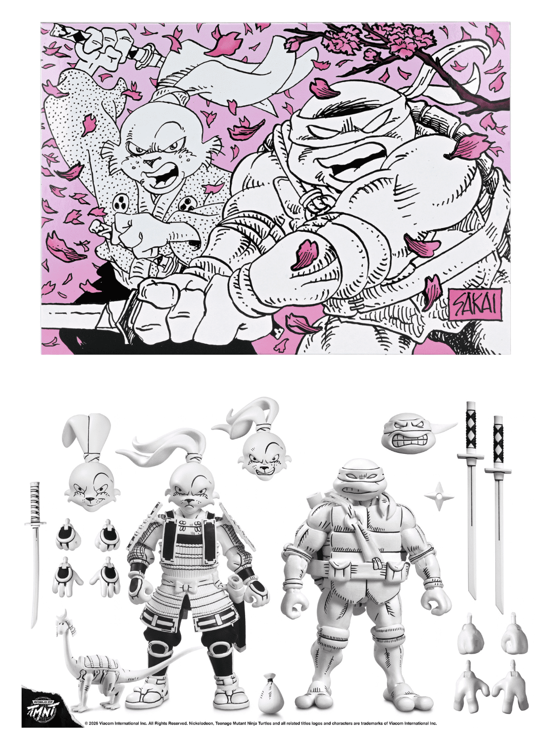 Usagi Yojimbo x Teenage Mutant Ninja Turtle Leonardo 7