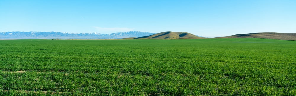 Spring Valley Antelope Valley California Canvas Art - Panoramic Images (27 x 9)