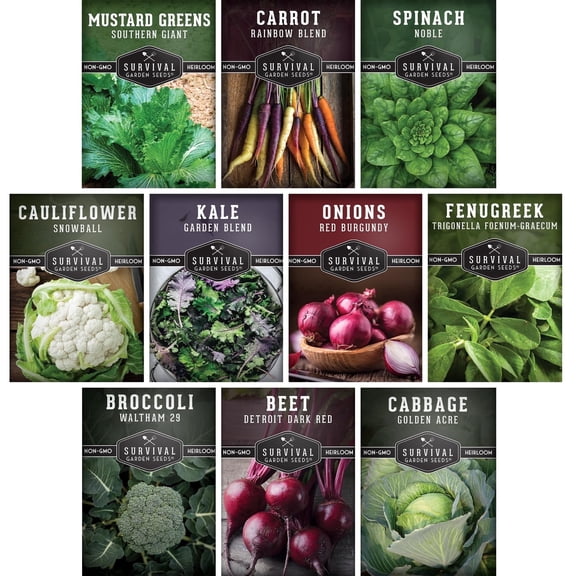 10 Pack Spring Vegetable SeedsCollection Full Sun, Annual Varieties