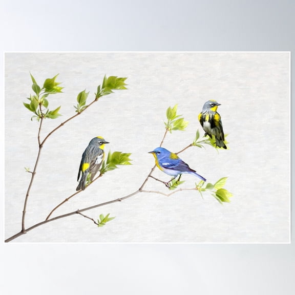 Spring Warbler Birds Poster Wall Art, Modern Wall Decor For Living Room Bedroom, 16x24 UNFRAMED