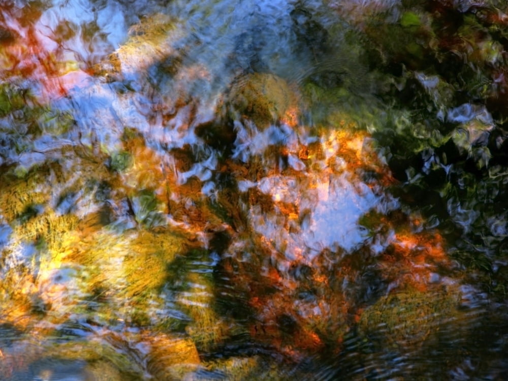 Spring Water Massachusetts Seekonk Caratunk Wildlife Refuge Ripples And Reflections On Water Surface Canvas Art - Joanne Baldaia Design Pics (16 x 12)