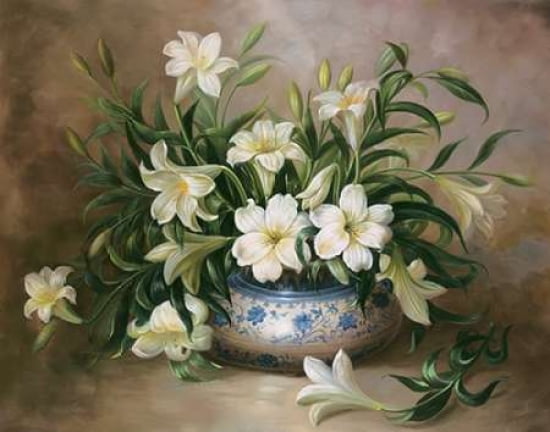 Spring Whites Canvas Art - Steiner (22 x 28)