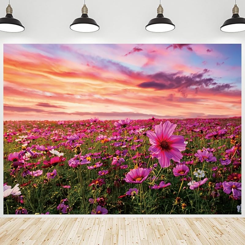 Spring Wildflower Backdrop Sunset Sky Pink Floral Field Nature Scenery ...