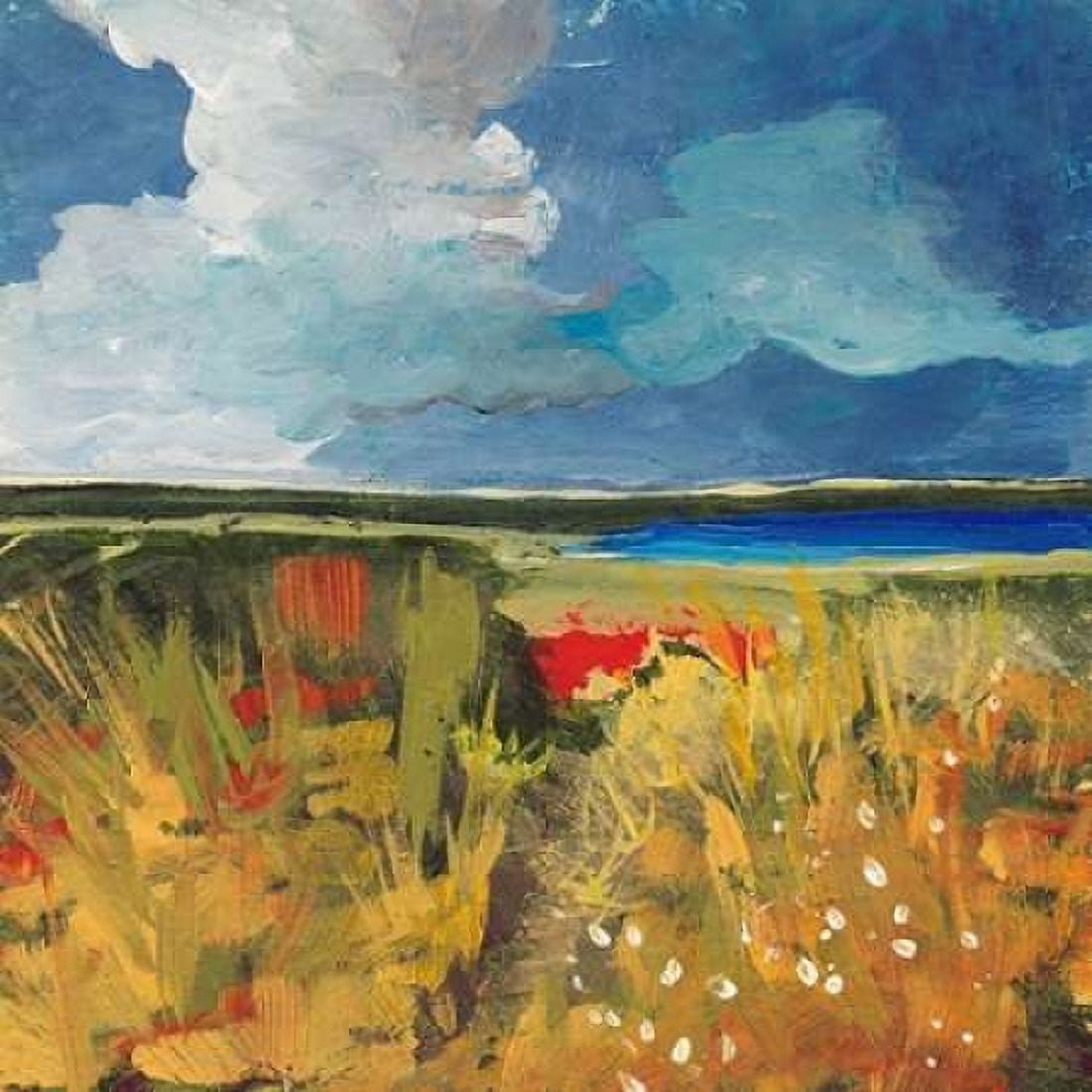 Spring Wildflowers Canvas Art - Jan Weiss (24 x 24)