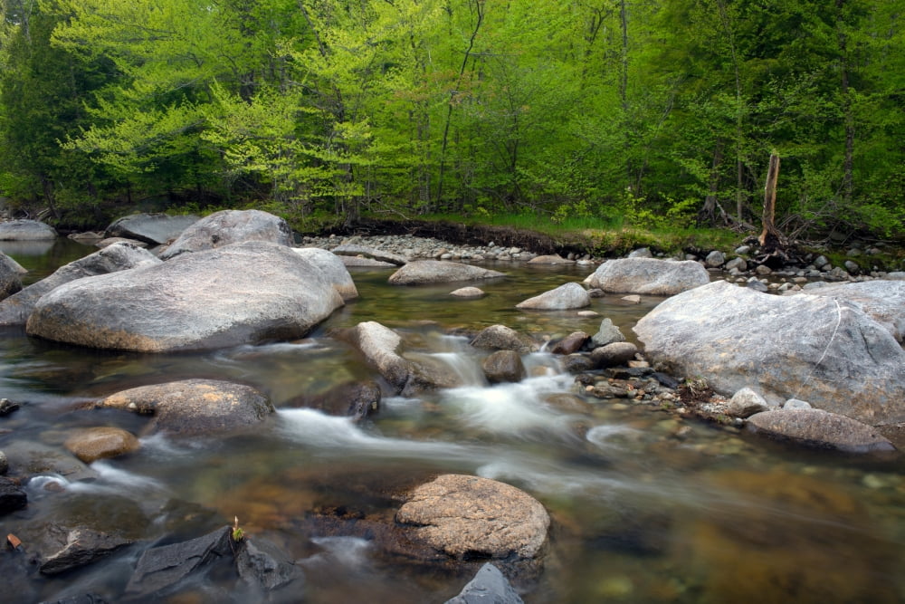Spring along the North Fork of the Boquet River Adirondack Park New York State USA Canvas Art - Panoramic Images (36 x 12)