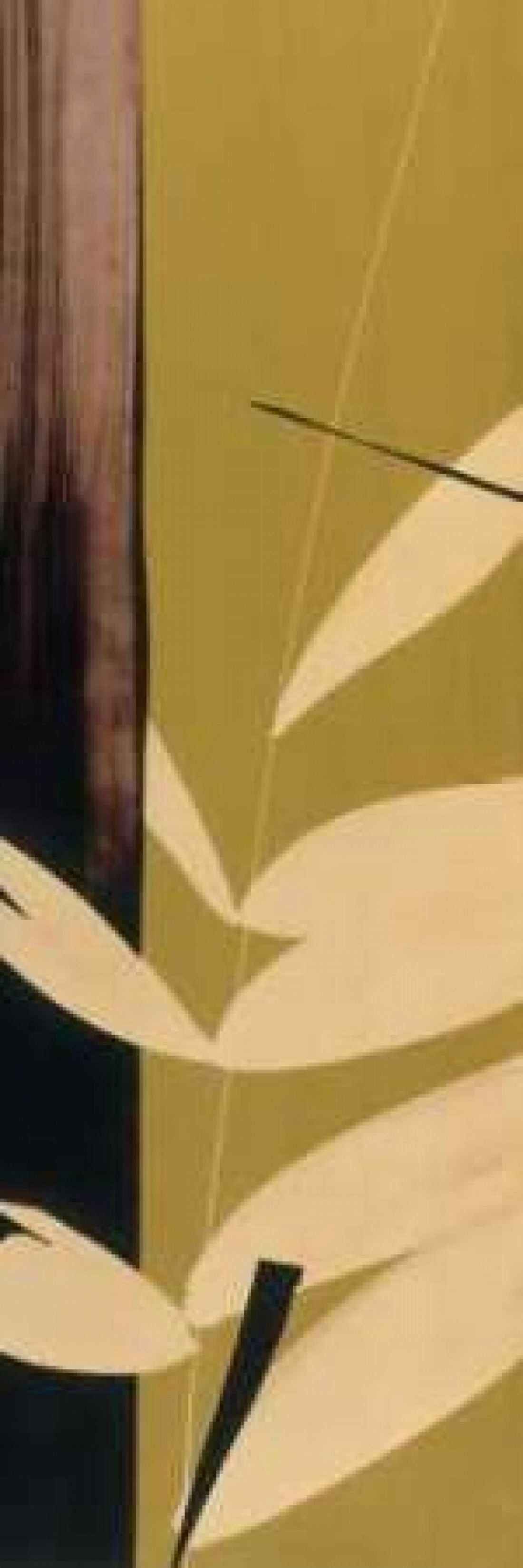 Spring at Last I Canvas Art - Lola Abellan (12 x 36)