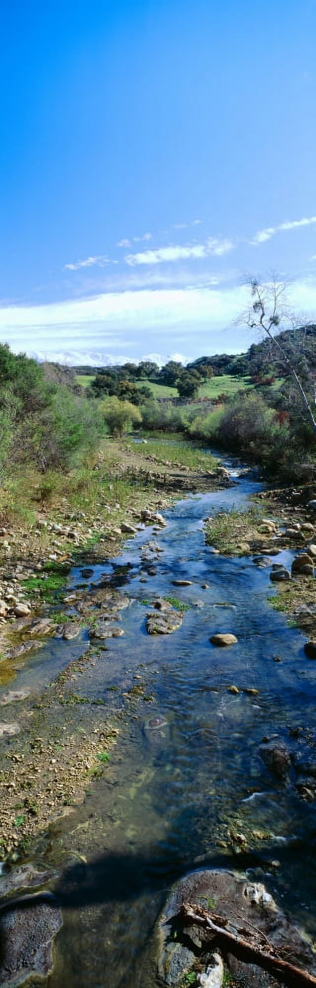 Spring creek in Upper Ojai California Canvas Art - Panoramic Images (27 x 9)