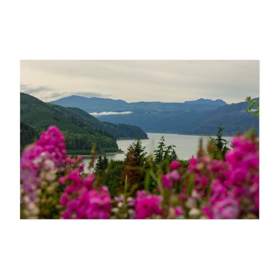 Spring flowers in the mountains - Washington Photography Nature Landscape Scenic Mountain Lake Floral Wilderness Unframed Wall Art Print 4 x 6 inches
