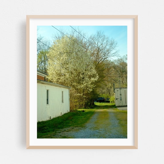 Spring in Marion - Marion Virginia Photography Rural Nature Landscape Floral Scenic Rustic Oak Framed Wall Art Print 6 x 8 inches