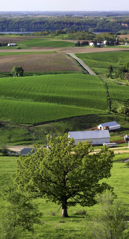 Spring in the Mississippi River Valley near the Balltown Dubuque County Iowa USA Canvas Art - Panoramic Images (36 x 12)