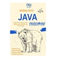 thumbnail image 1 of Spring into Java Development: Build Modern Backends with Spring Boot, REST APIs, and Microservices, (Paperback), 1 of 1