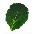 thumbnail image 1 of Spring leaf placemat outdoor thickened table decoration simulation cabbage leaf leaf oil-proof placemat, 1 of 6