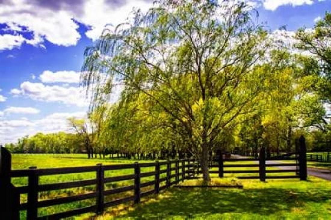 Spring on the Farm II Canvas Art - Alan Hausenflock (20 x 28)