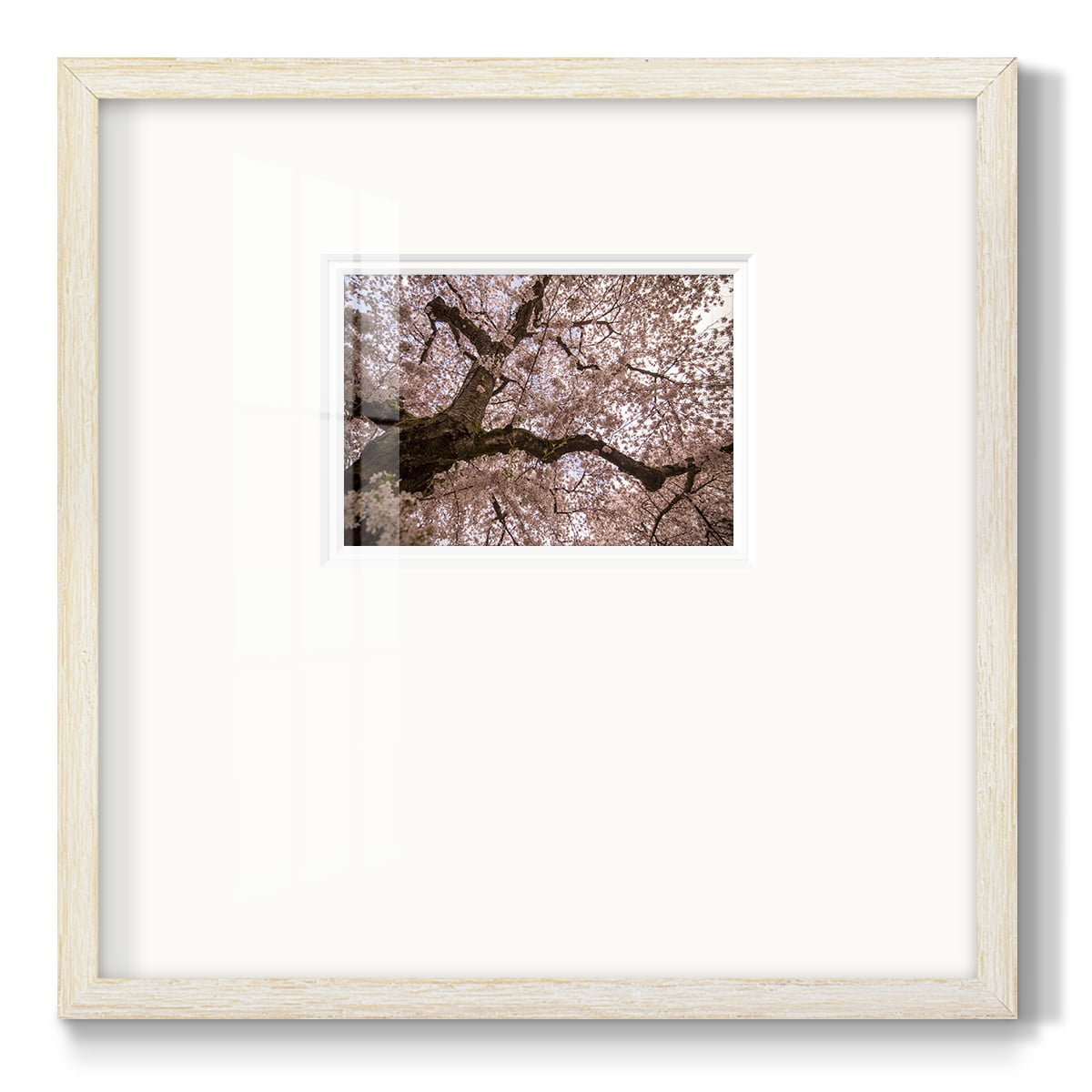 Spring's ArrivalPremium Framed Print