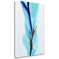 thumbnail image 1 of "Spring's Calling Card" By Patricia Coulter, Gallery Wrap Canvas, 1 of 3