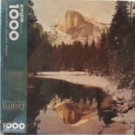 Springbok 500 Piece Jigsaw Puzzle Private Library