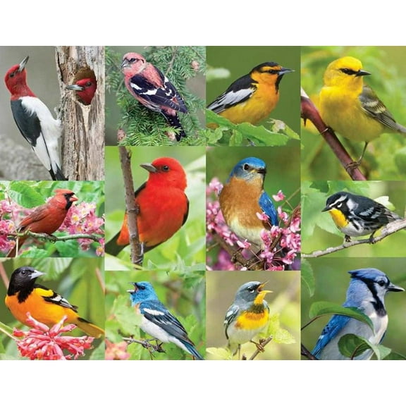 Springbok's 36 Piece Jigsaw Puzzle Birds of a Feather - Made in USA