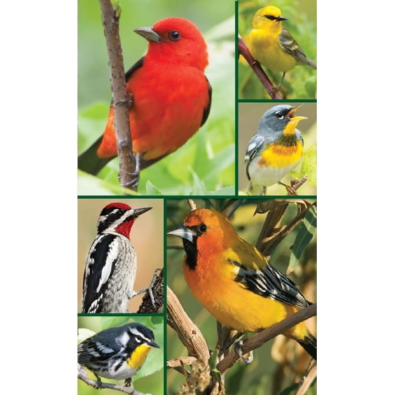 Springbok Songbirds Bridge Tally Sheets - Bridge Playing Cards Accessory