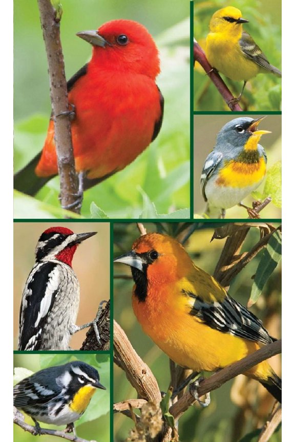 Songbirds Bridge Tally Sheets - Bridge Playing Cards Accessory