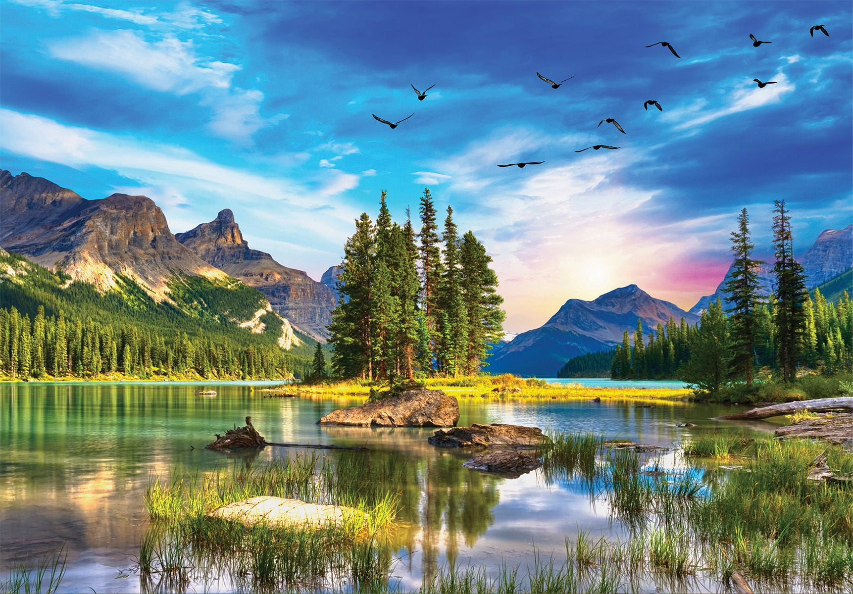 Springbok Puzzle 350 Pezzi Take Flight: La Sfida Perfetta Per La Tua Mente! - 4