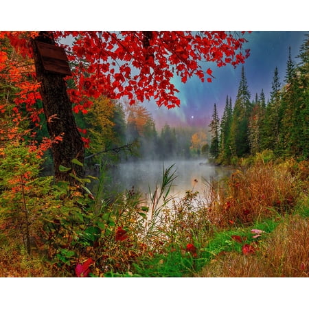 Springbok 1000 Piece Early Dawn on the Lake Jigsaw Puzzle for Adults
