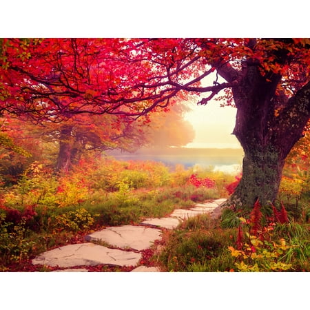 Springbok's Stone Path -1000 Piece Jigsaw Puzzle - Made in USA- Unique Pieces