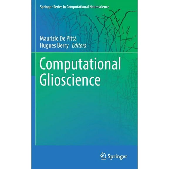 Springer Computational Neuroscience Computational Glioscience, (Hardcover)