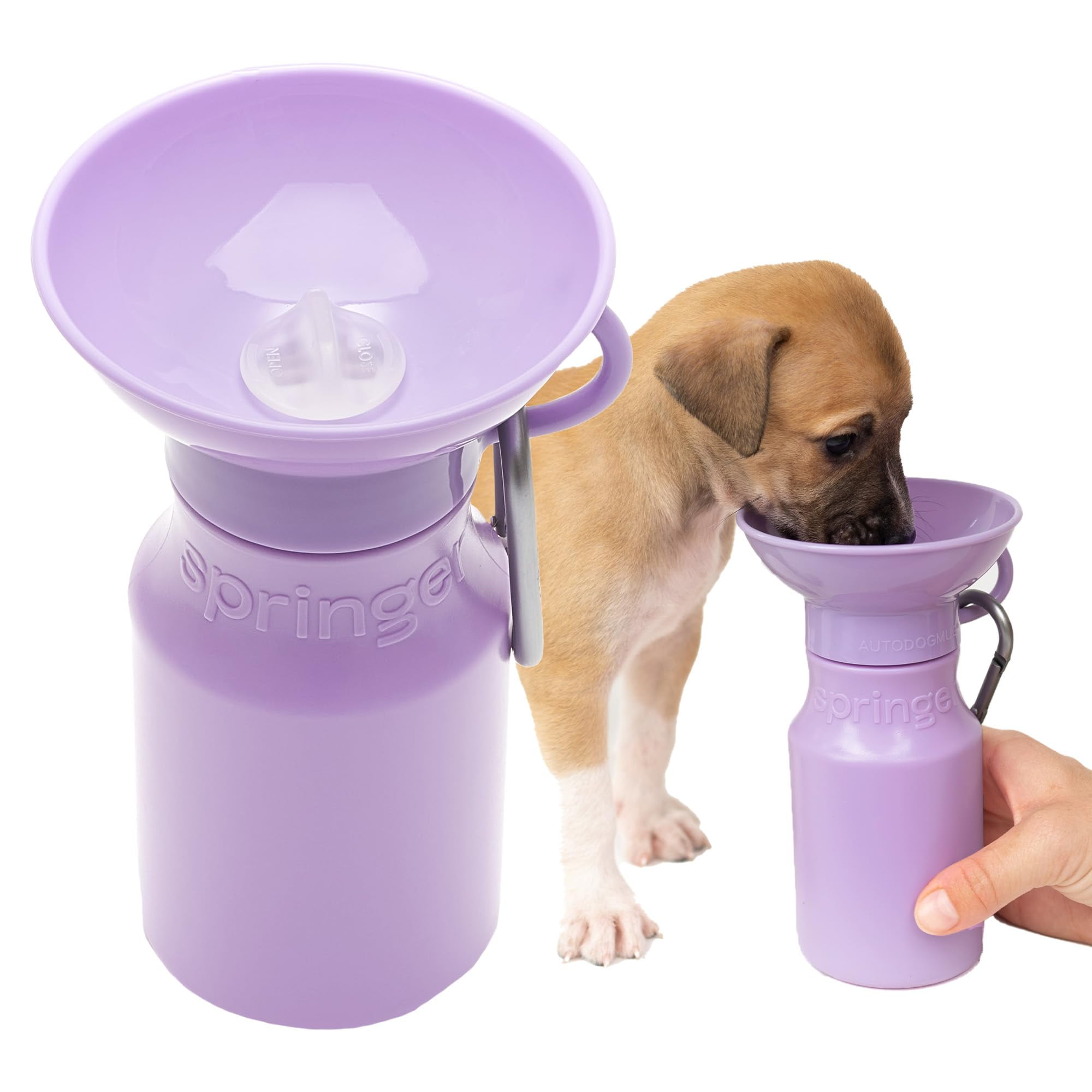 Springer Dog Water Bottle Portable Travel Water Bottle Dispenser for