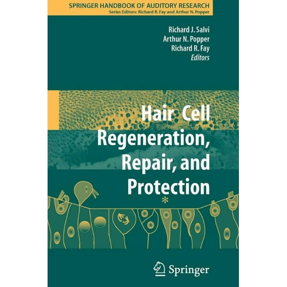 Springer Handbook of Auditory Research Hair Cell Regeneration, Repair, and Protection, Book 33, (Paperback)