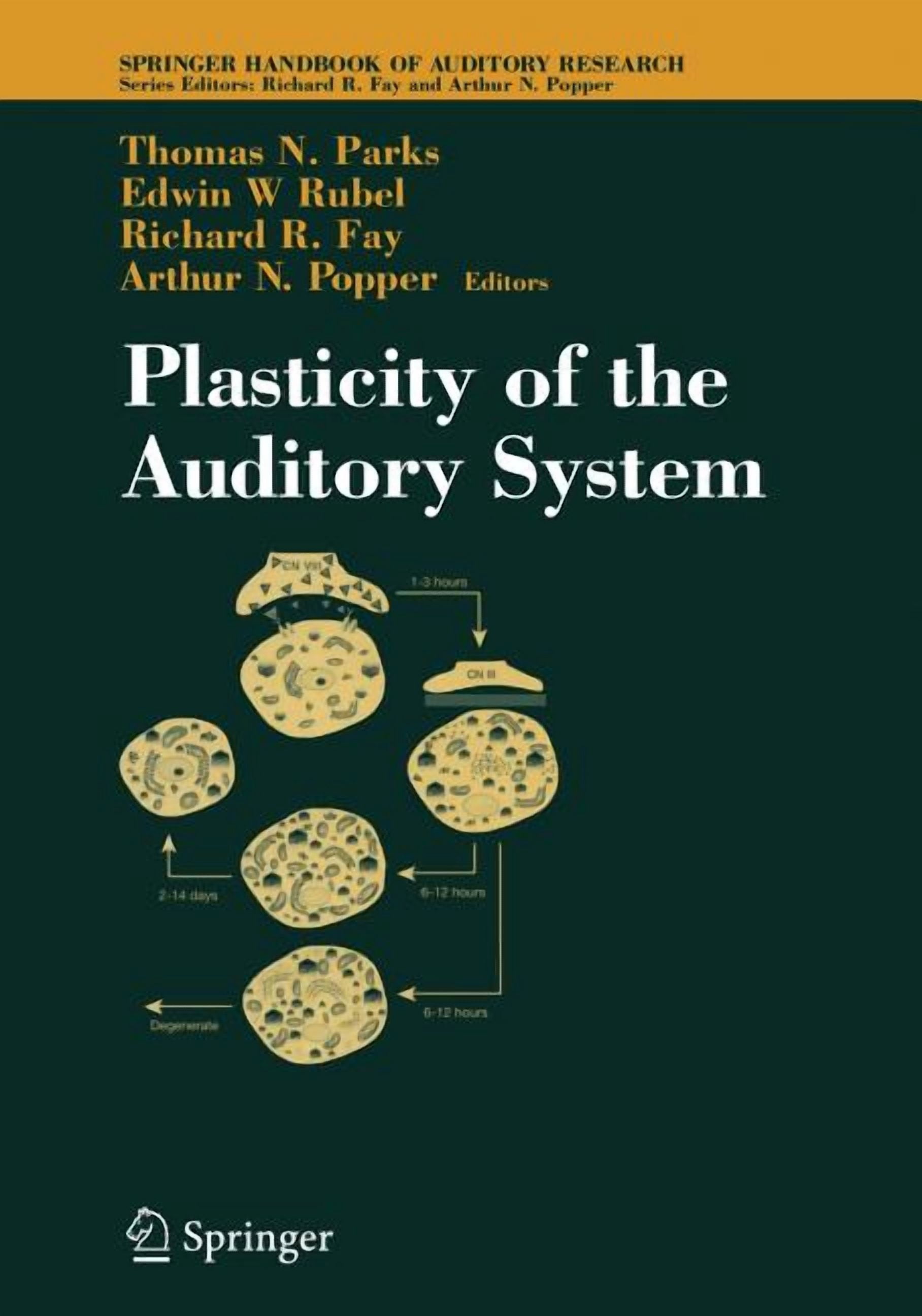 Springer Handbook of Auditory Research Plasticity of the Auditory ...