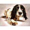 thumbnail image 1 of Springer Spaniel Cute Dog Large Wall Art Print, 1 of 1