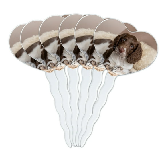 Springer Spaniel Puppy Dog Basket Bed Heart Love Cupcake Picks Toppers Decoration Set of 6