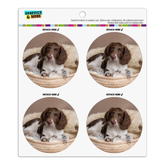 Springer Spaniel Puppy Dog Basket Bed Refrigerator Fridge Locker Vinyl Circle Magnet Set