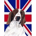 thumbnail image 1 of Springer Spaniel With English Union Jack British Flag Flag Garden Size, 1 of 1