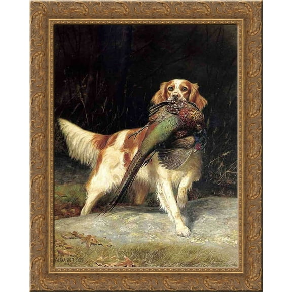 Springer Spaniel with Pheasant 20x24 Gold Ornate Wood Framed Canvas Art by Pope, Alexander