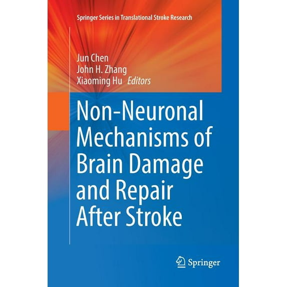 Springer Translational Stroke Research Non-Neuronal Mechanisms of Brain Damage and Repair After Stroke, (Paperback)