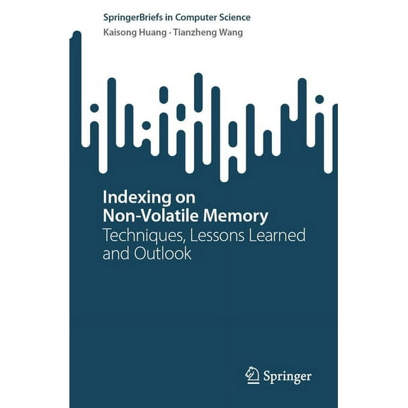 Springerbriefs in Computer Science Indexing on Non-Volatile Memory: Techniques, Lessons Learned and Outlook, (Paperback)